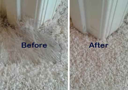Pet Carpet Damage Repair Service