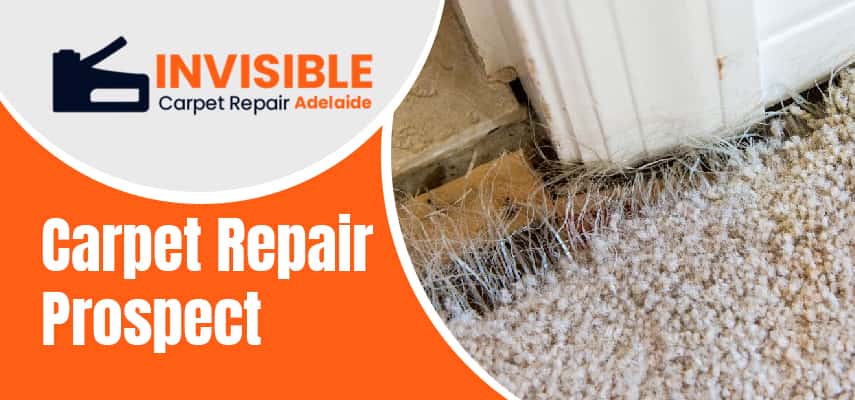 Best Carpet Repair Prospect