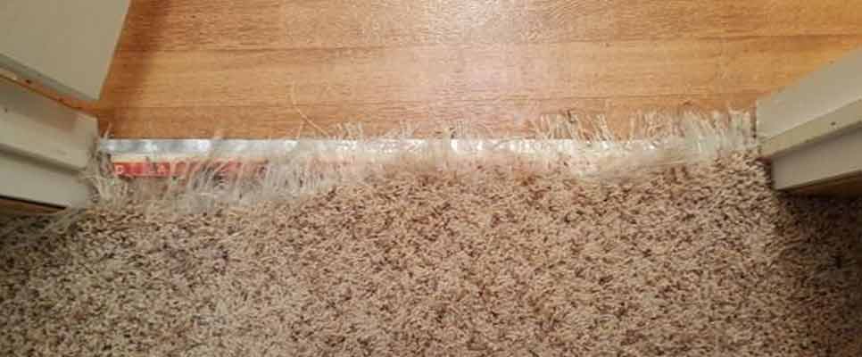 How to Fix Carpet Coming Up at Edges